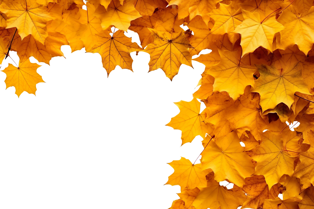 Autumn Leaves Magic(52)