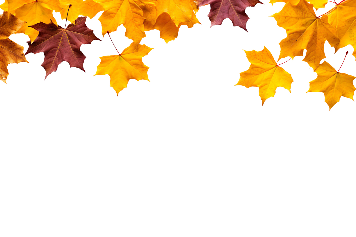 Autumn Leaves Magic(54)