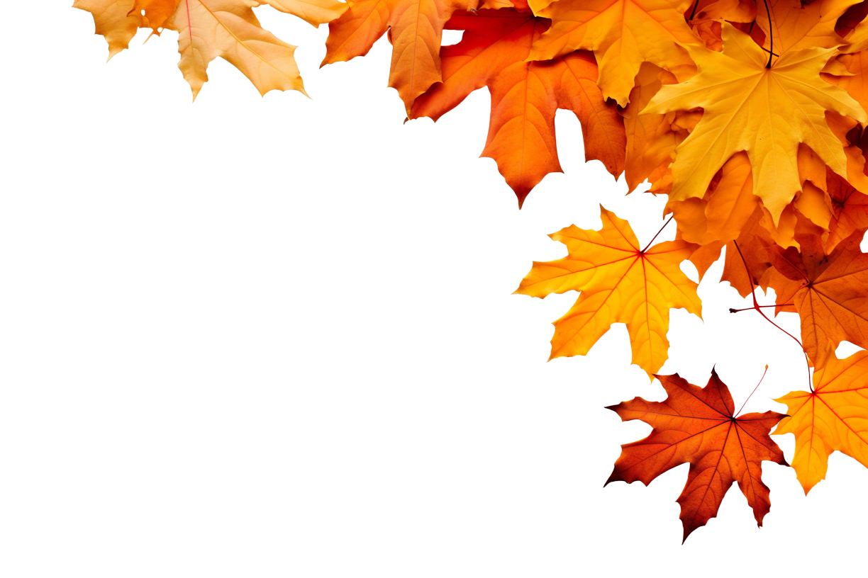 Autumn Leaves Magic(55)