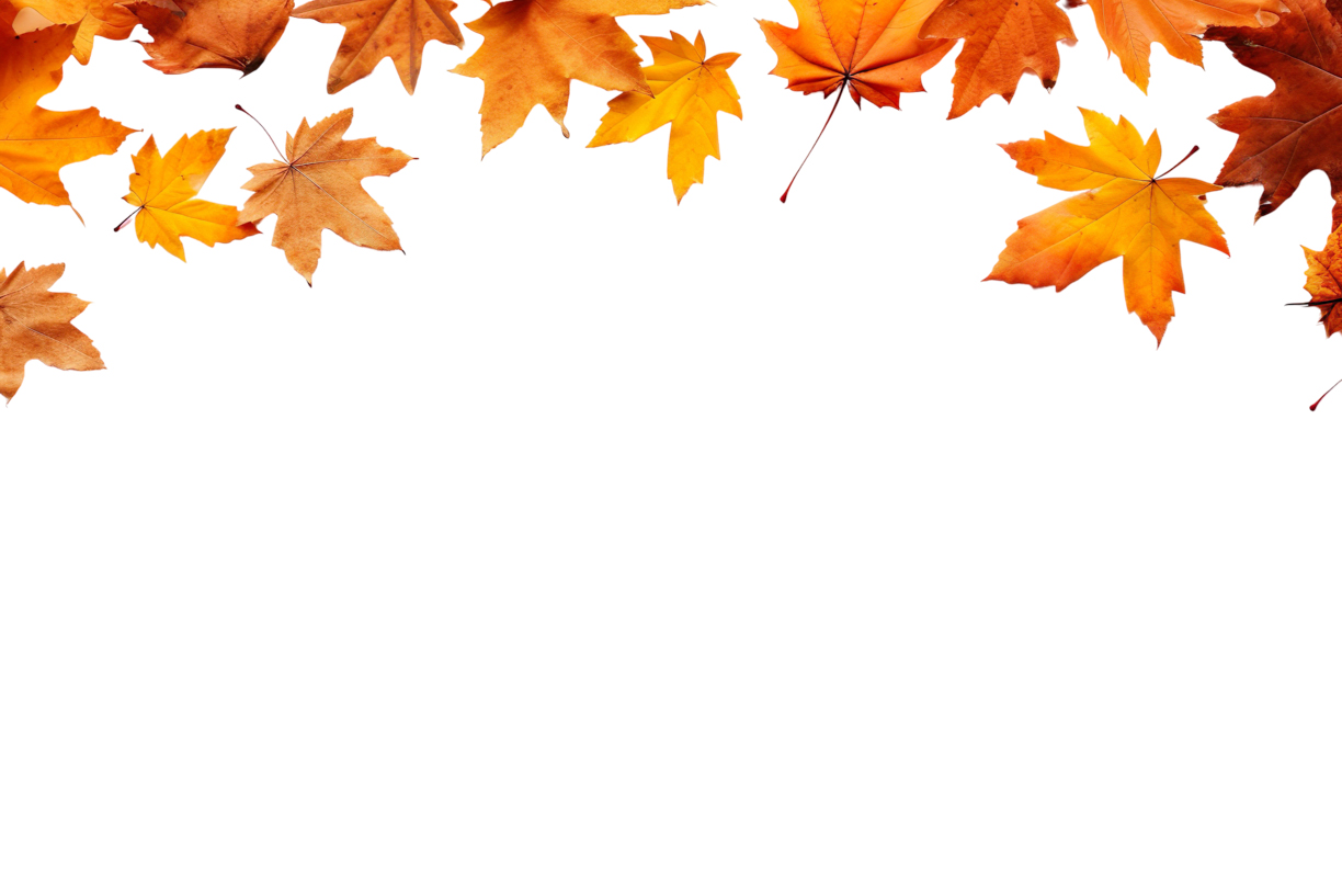 Autumn Leaves Magic(56)