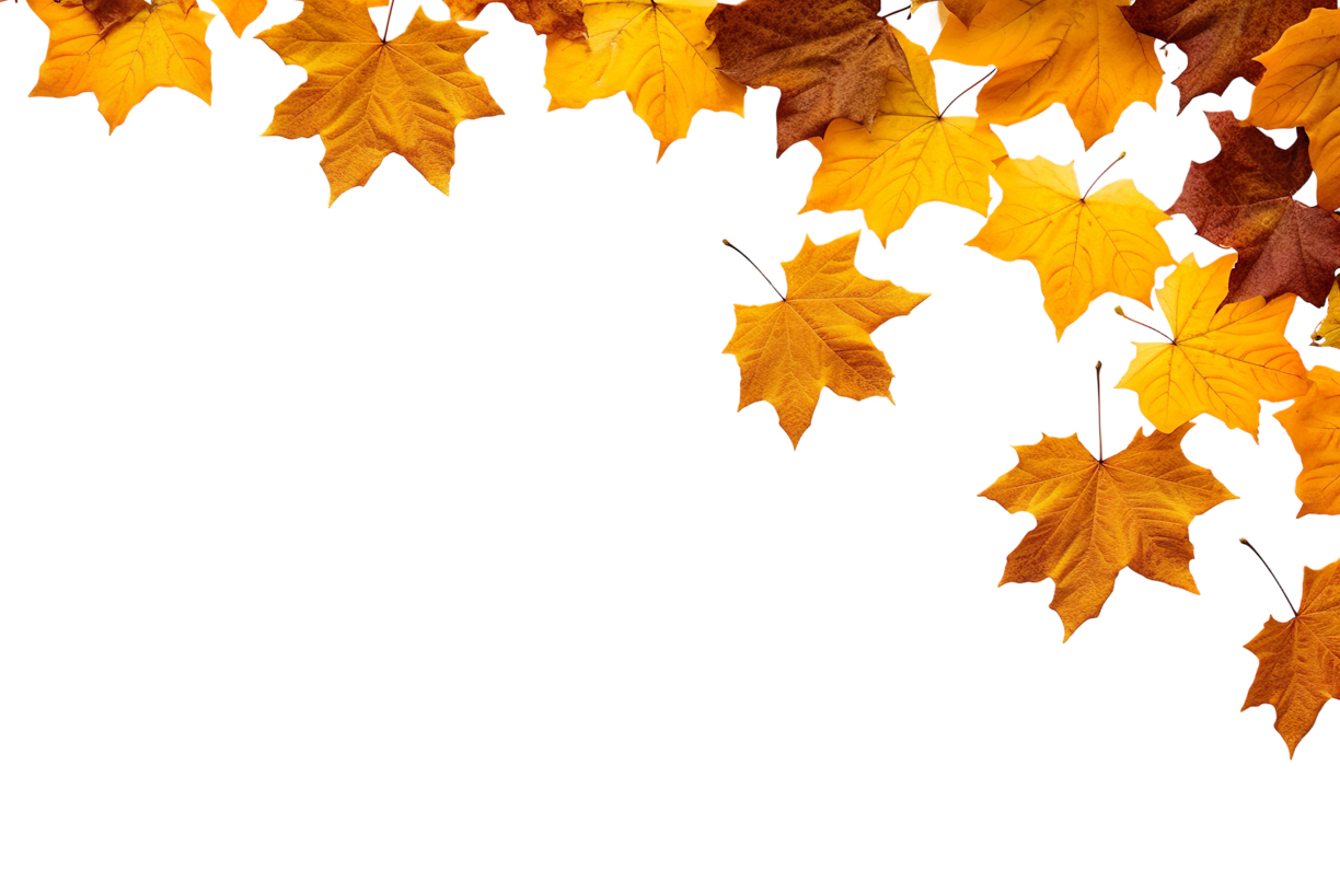 Autumn Leaves Magic(58)