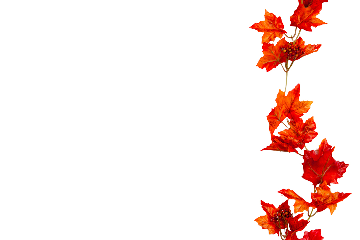 Autumn Leaves Magic(62)