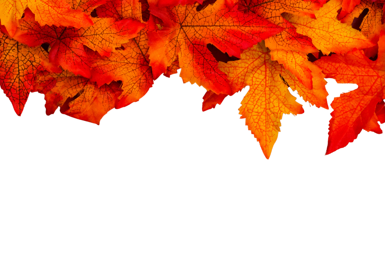 Autumn Leaves Magic(63)