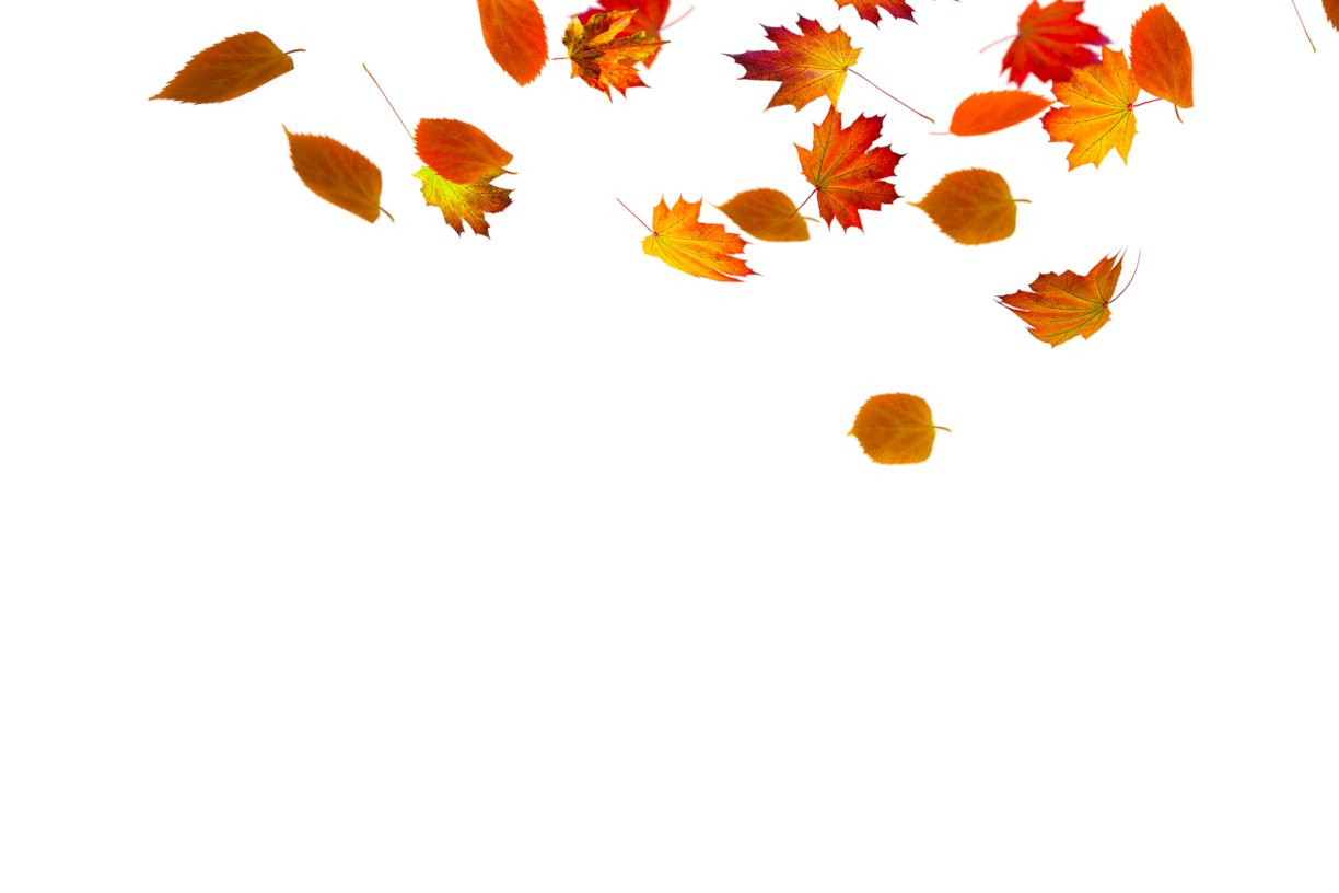 Autumn Leaves Magic(67)