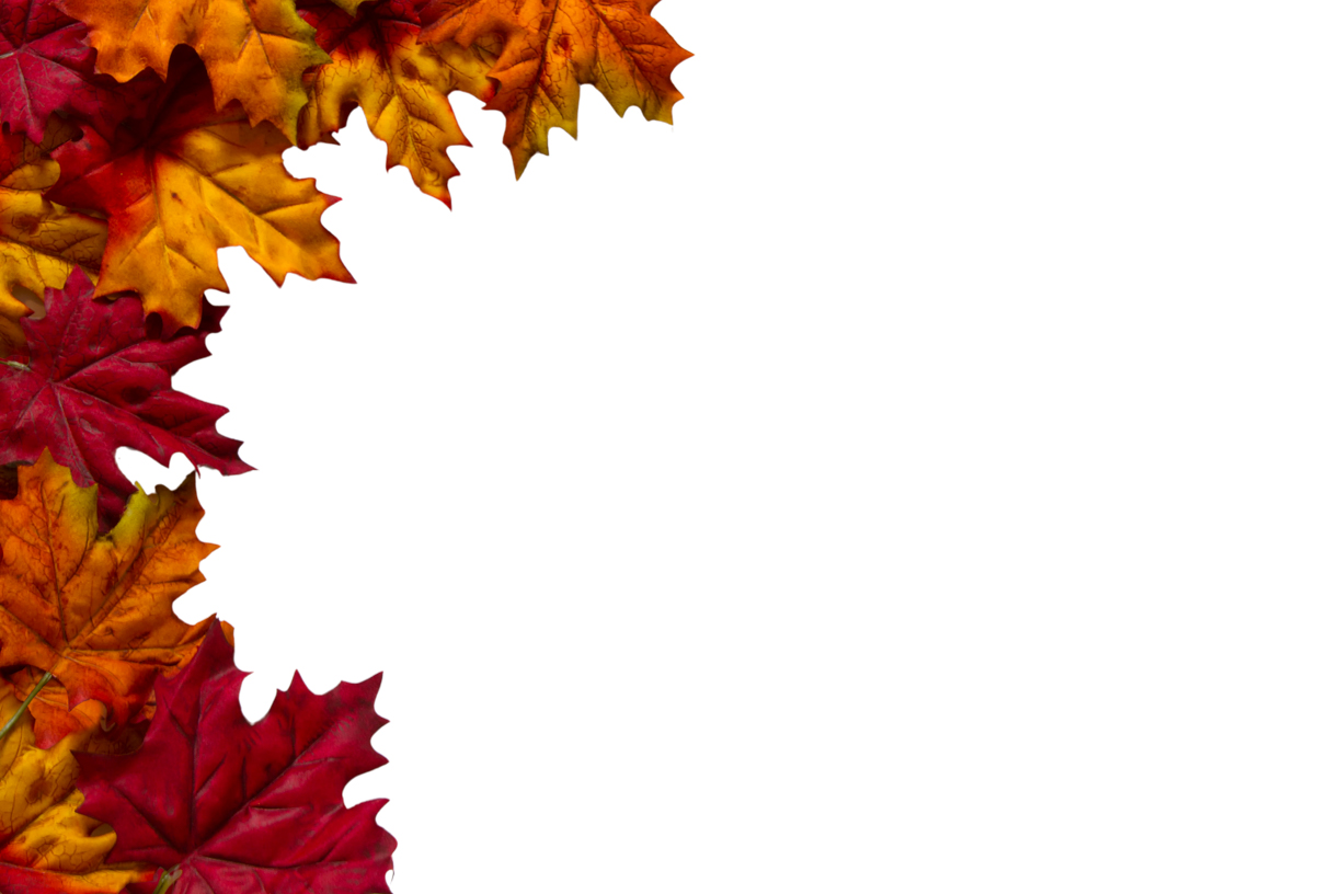 Autumn Leaves Magic(68)