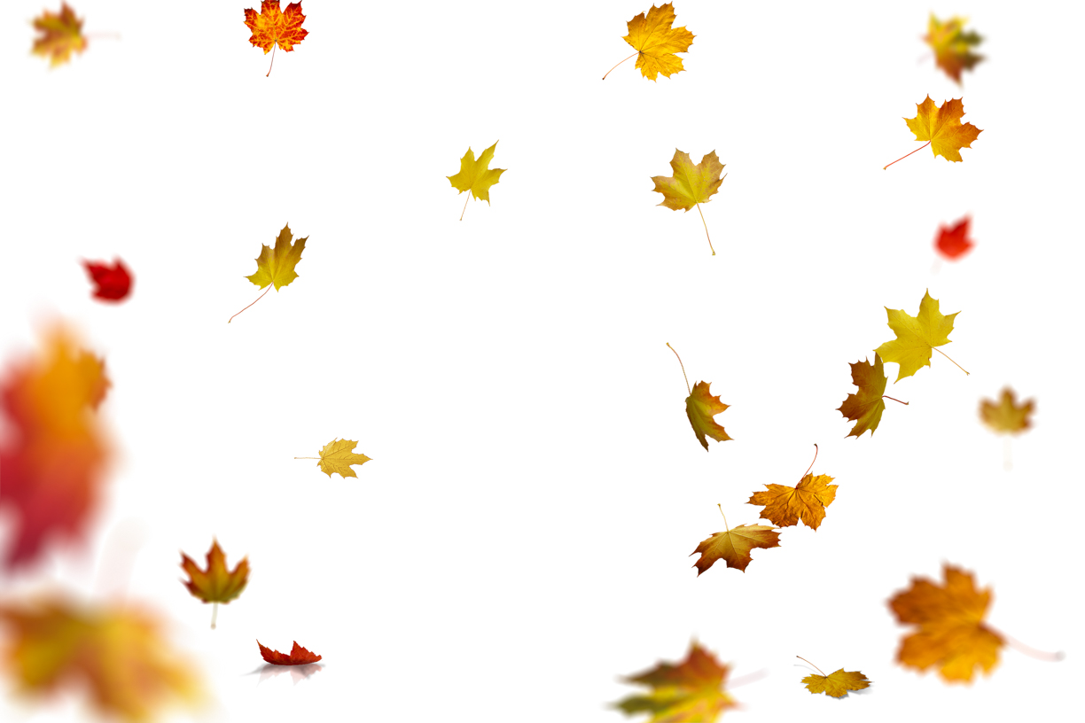 Autumn Leaves Magic(74)