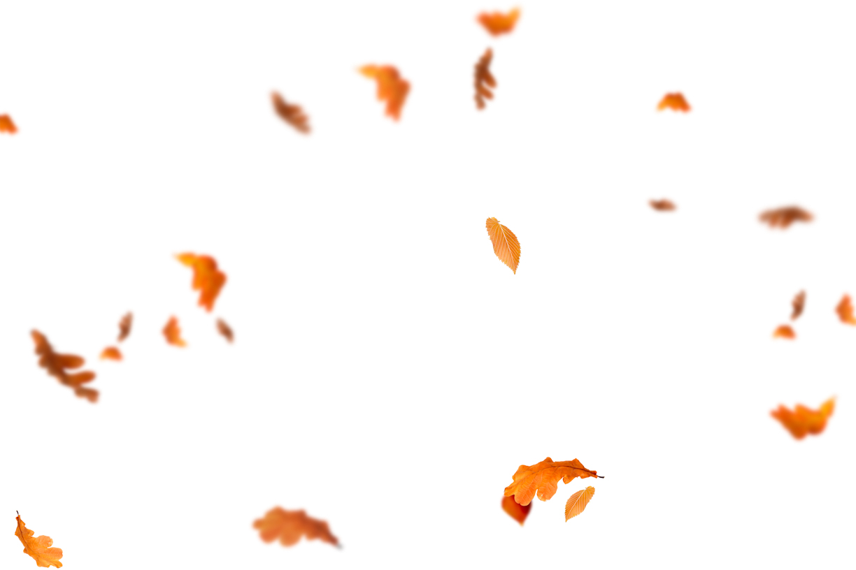 Autumn Leaves Magic(75)