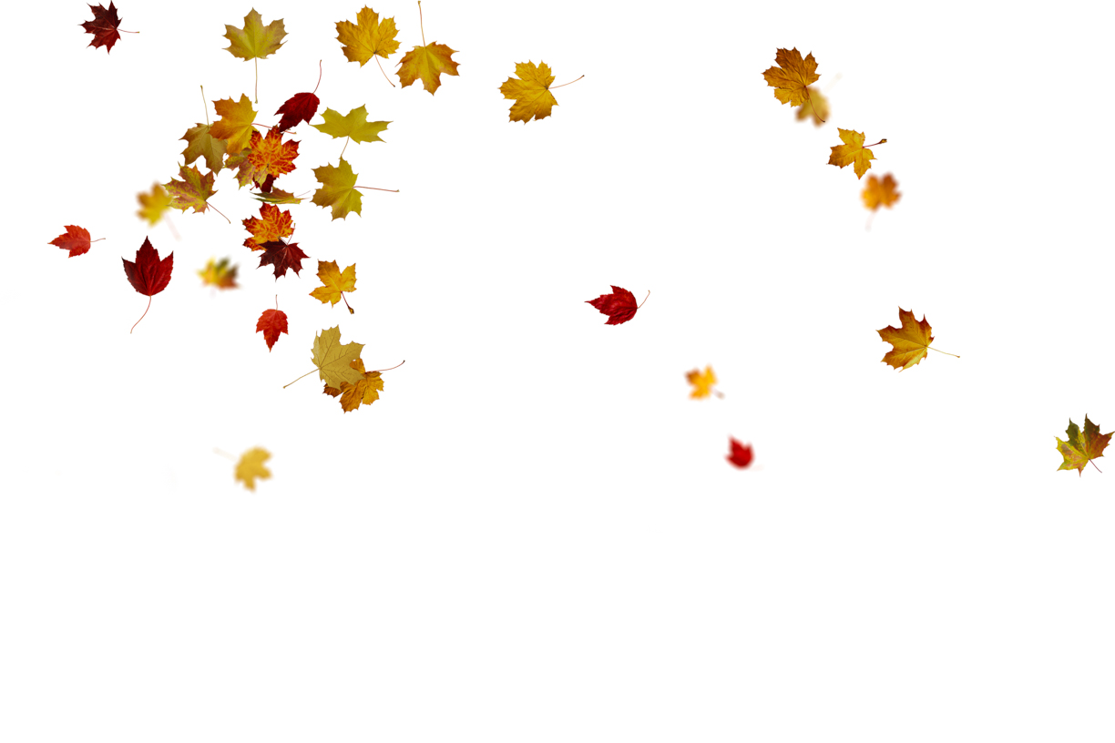 Autumn Leaves Magic(76)