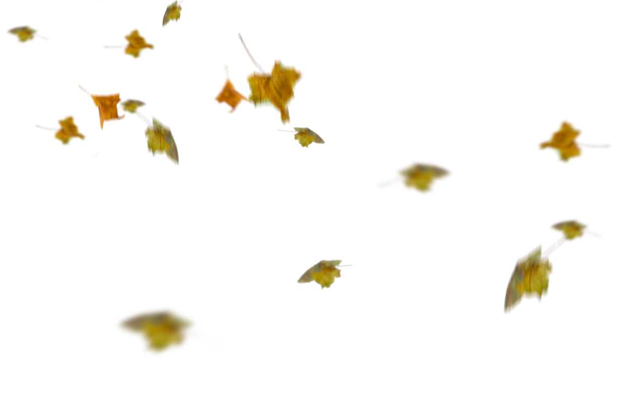 Autumn Leaves Magic(80)