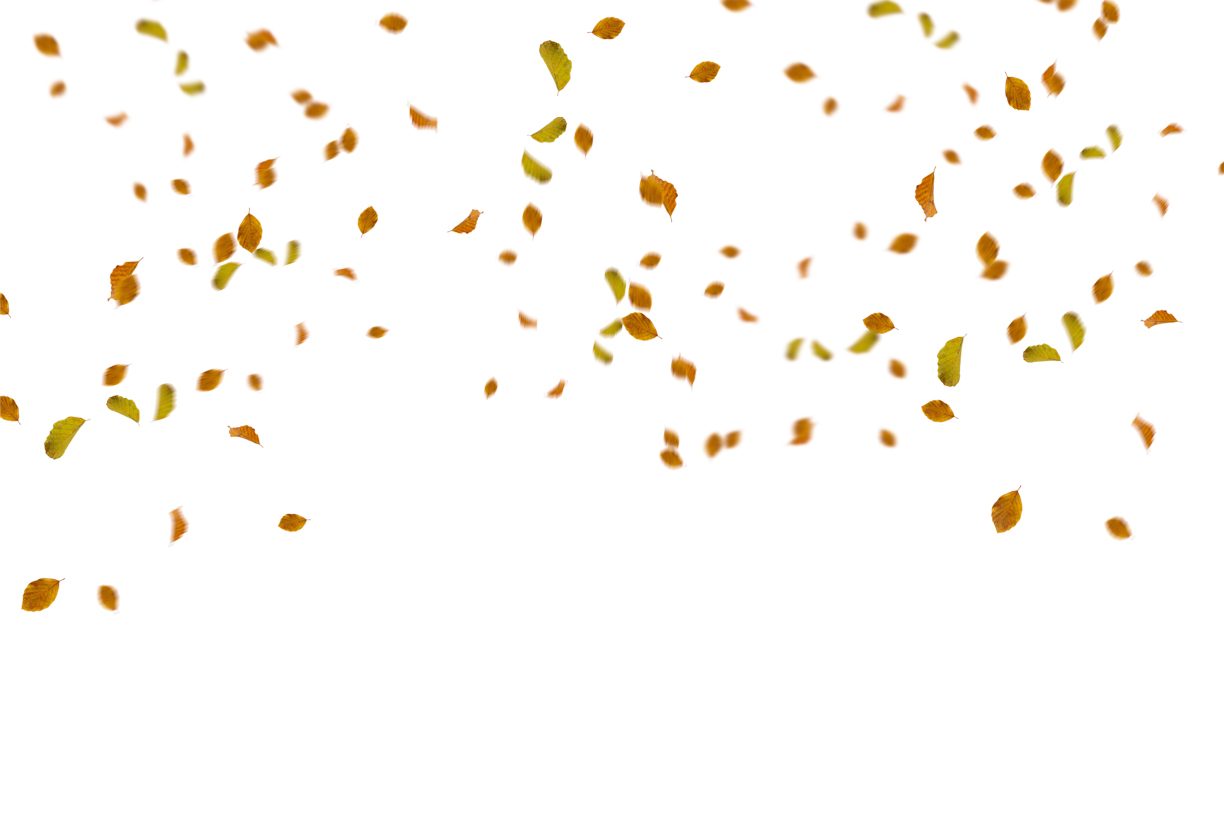 Autumn Leaves Magic(82)