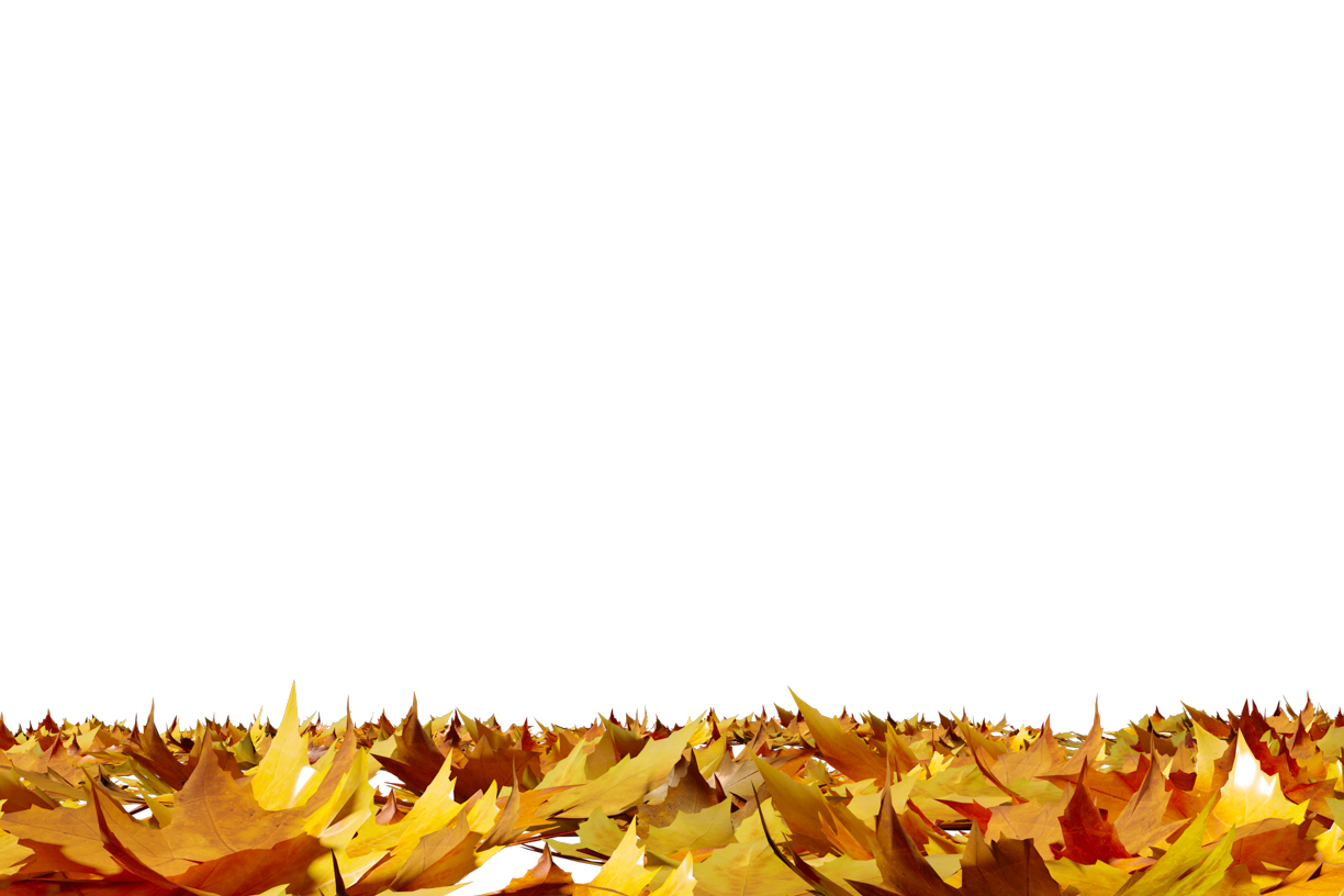 Autumn Leaves Magic(85)