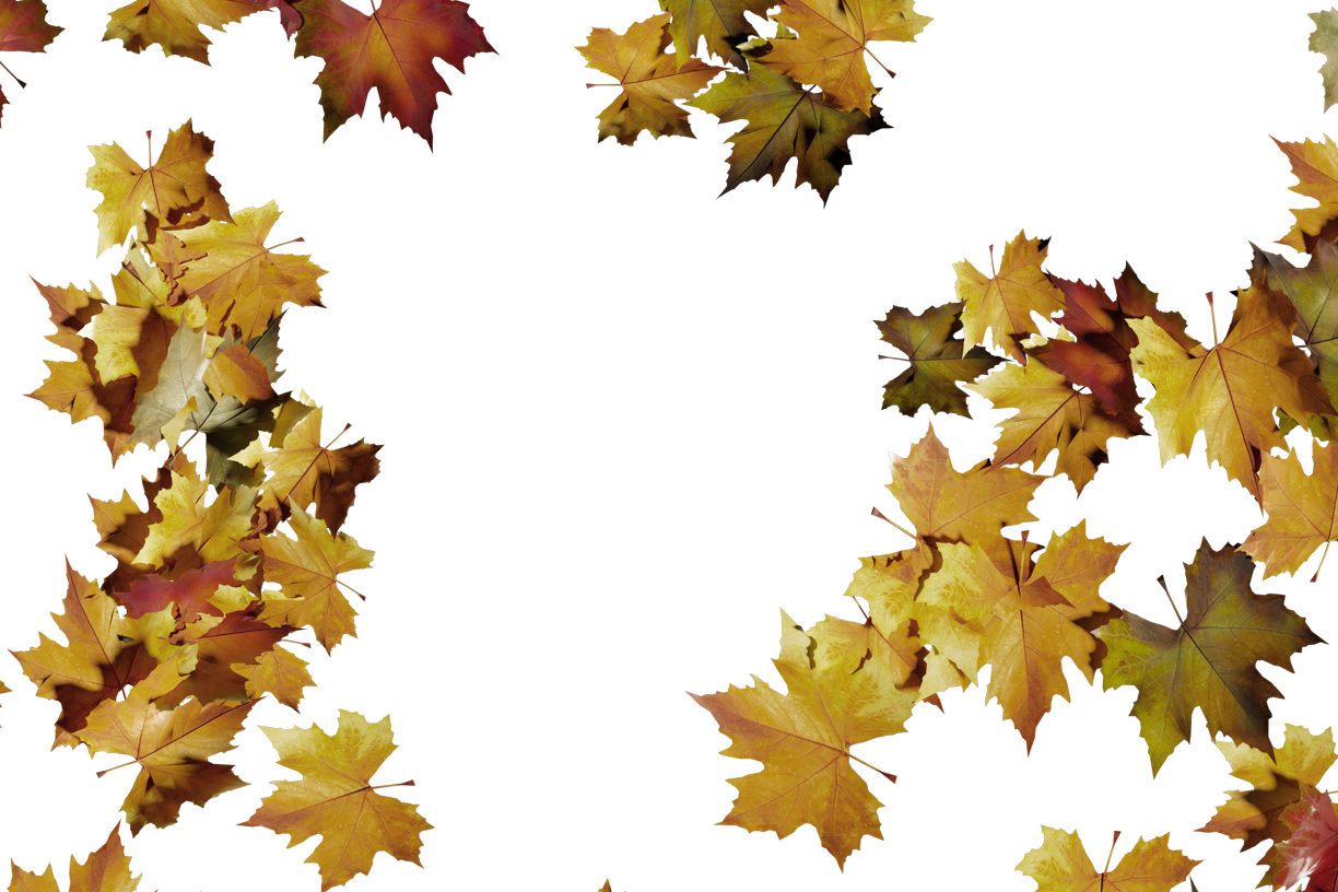 Autumn Leaves Magic(86)