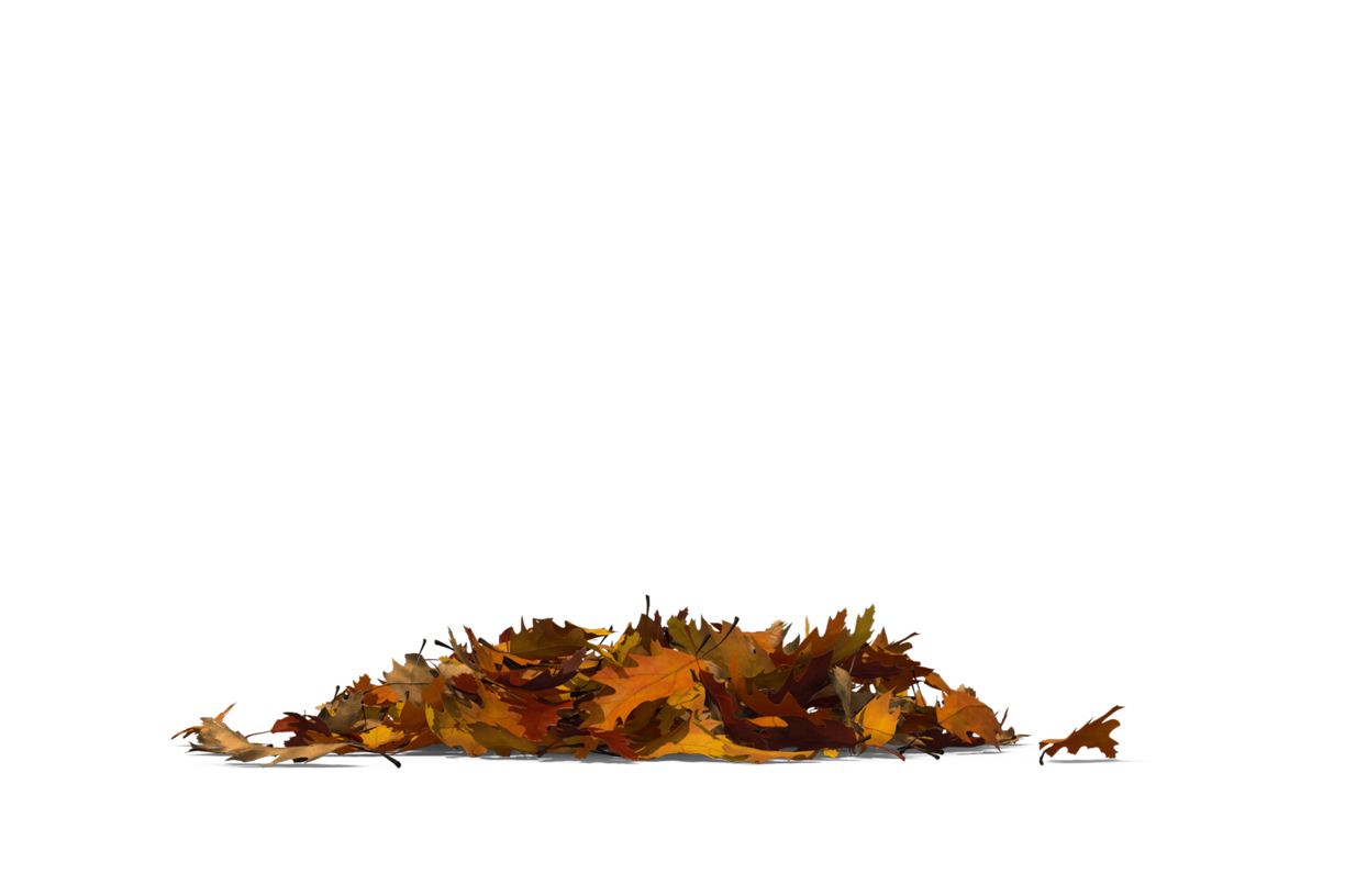 Autumn Leaves Magic(101)