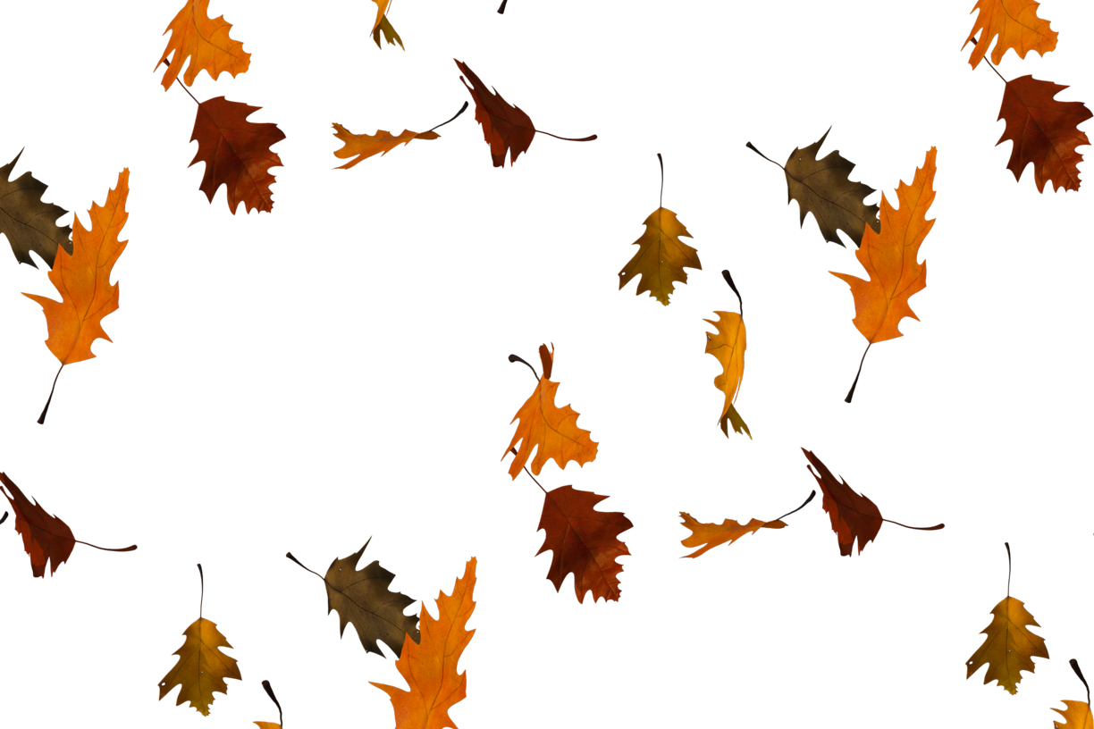 Autumn Leaves Magic(102)