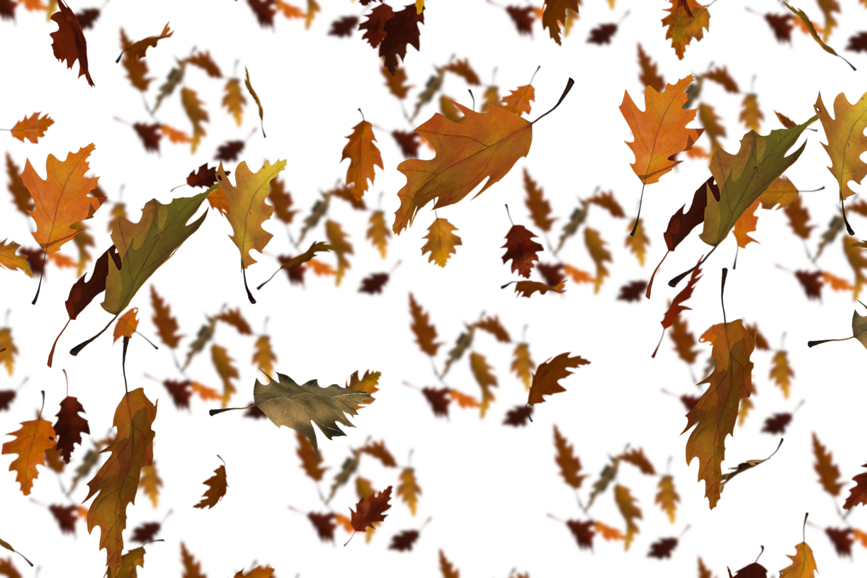 Autumn Leaves Magic(108)