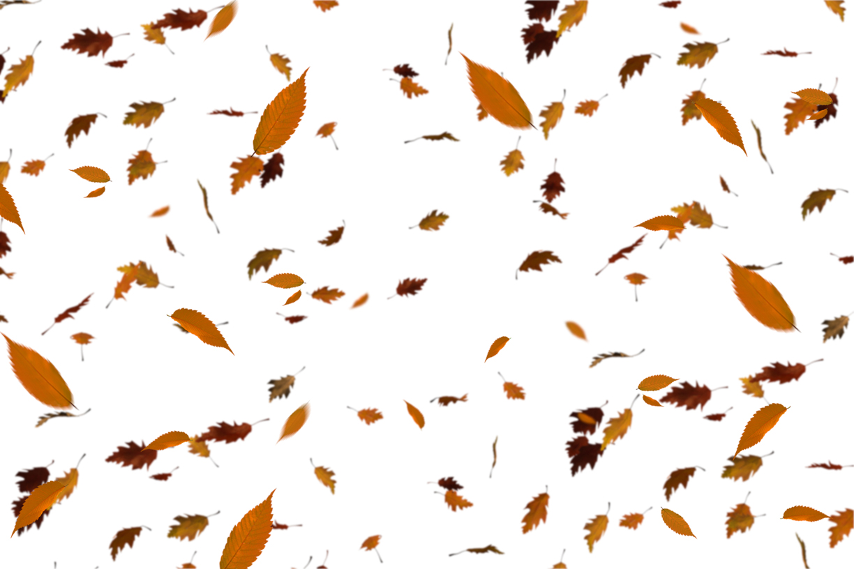 Autumn Leaves Magic(109)