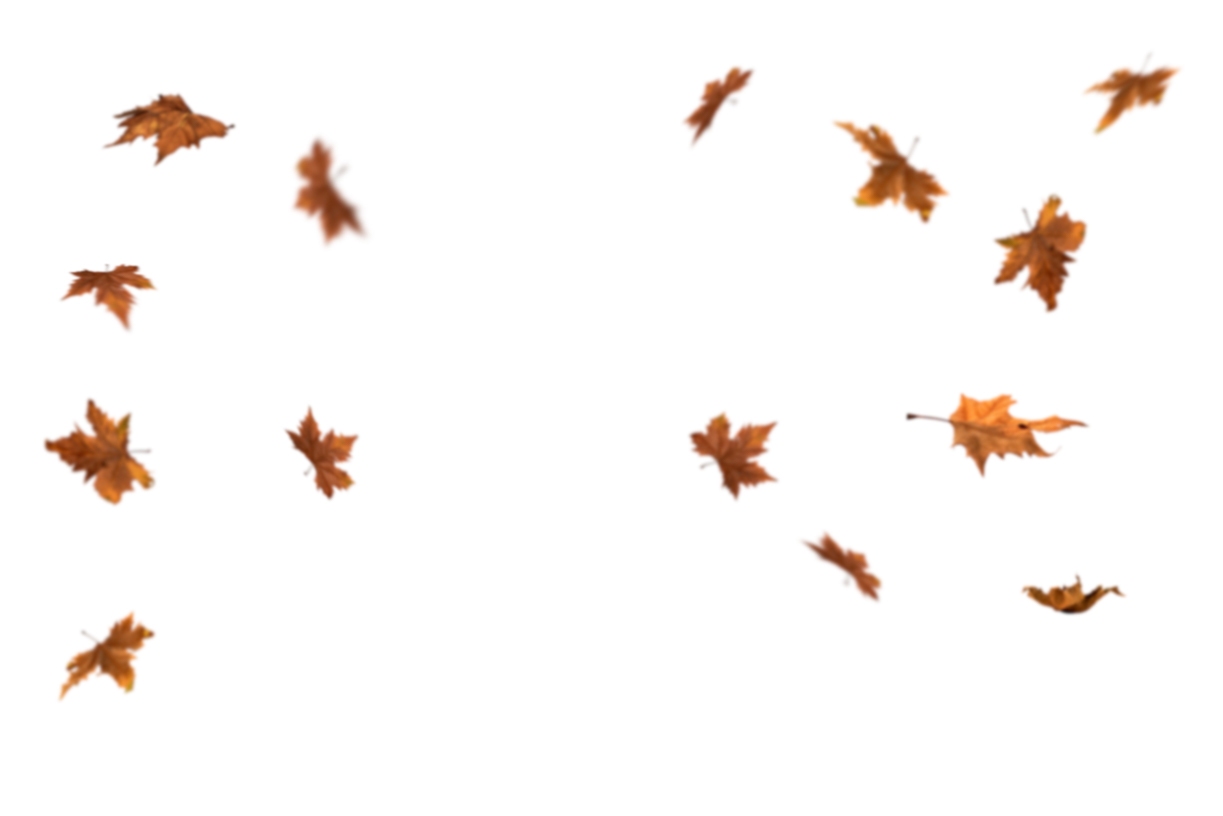 Autumn Leaves Magic(110)