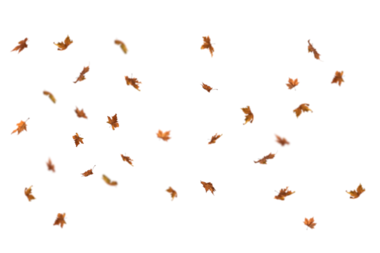 Autumn Leaves Magic(111)