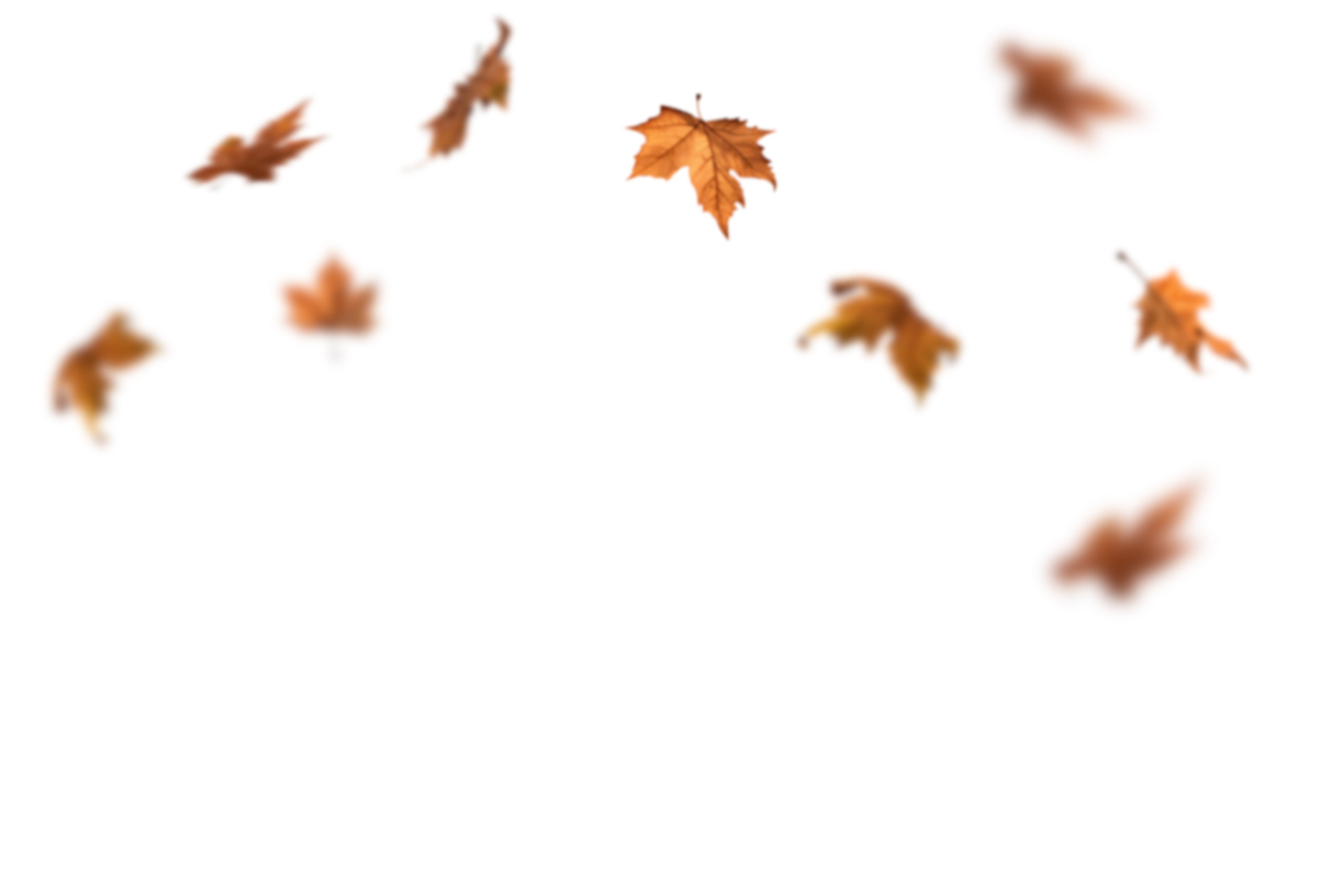 Autumn Leaves Magic(112)