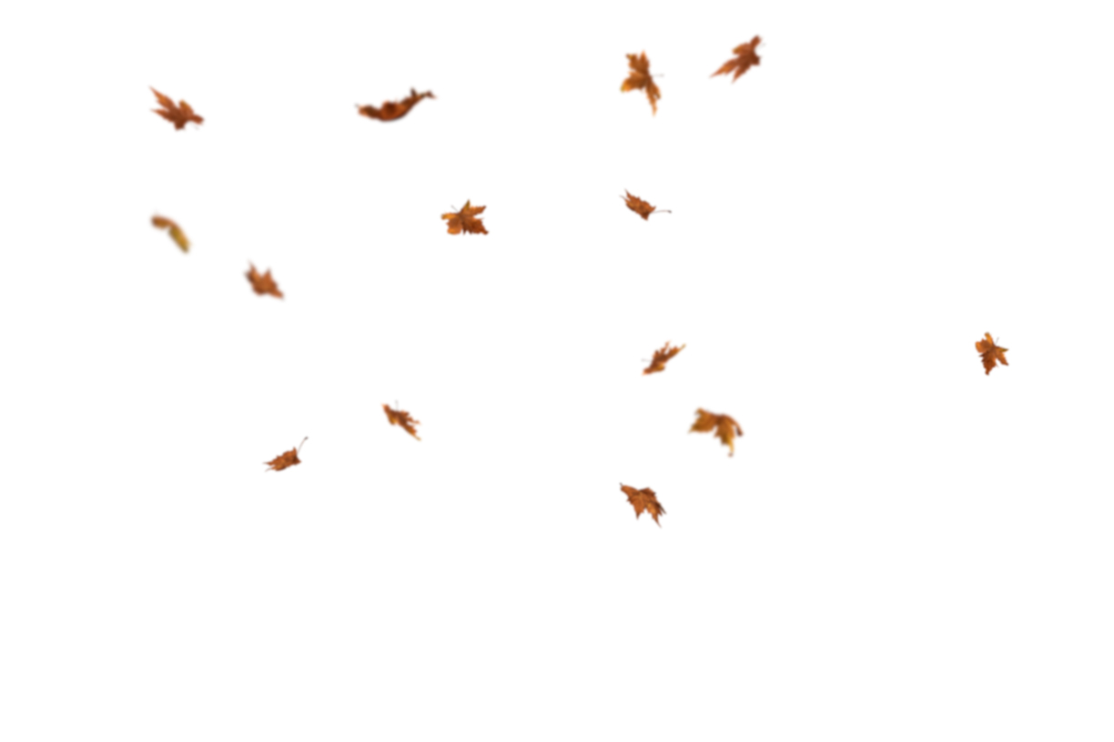 Autumn Leaves Magic(113)