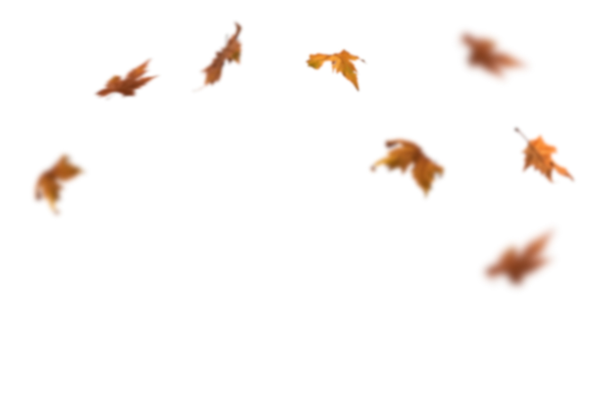 Autumn Leaves Magic(114)