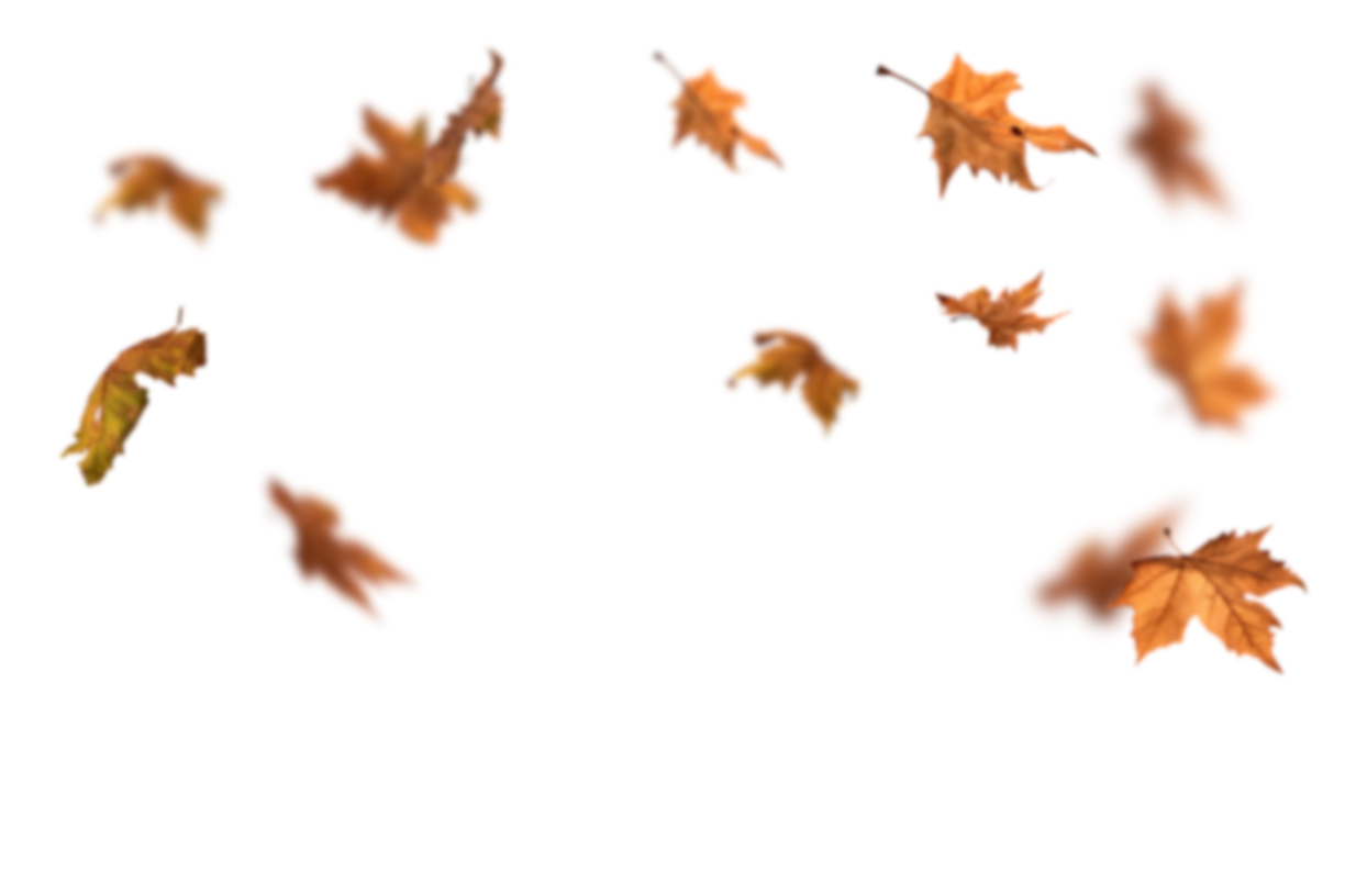 Autumn Leaves Magic(115)