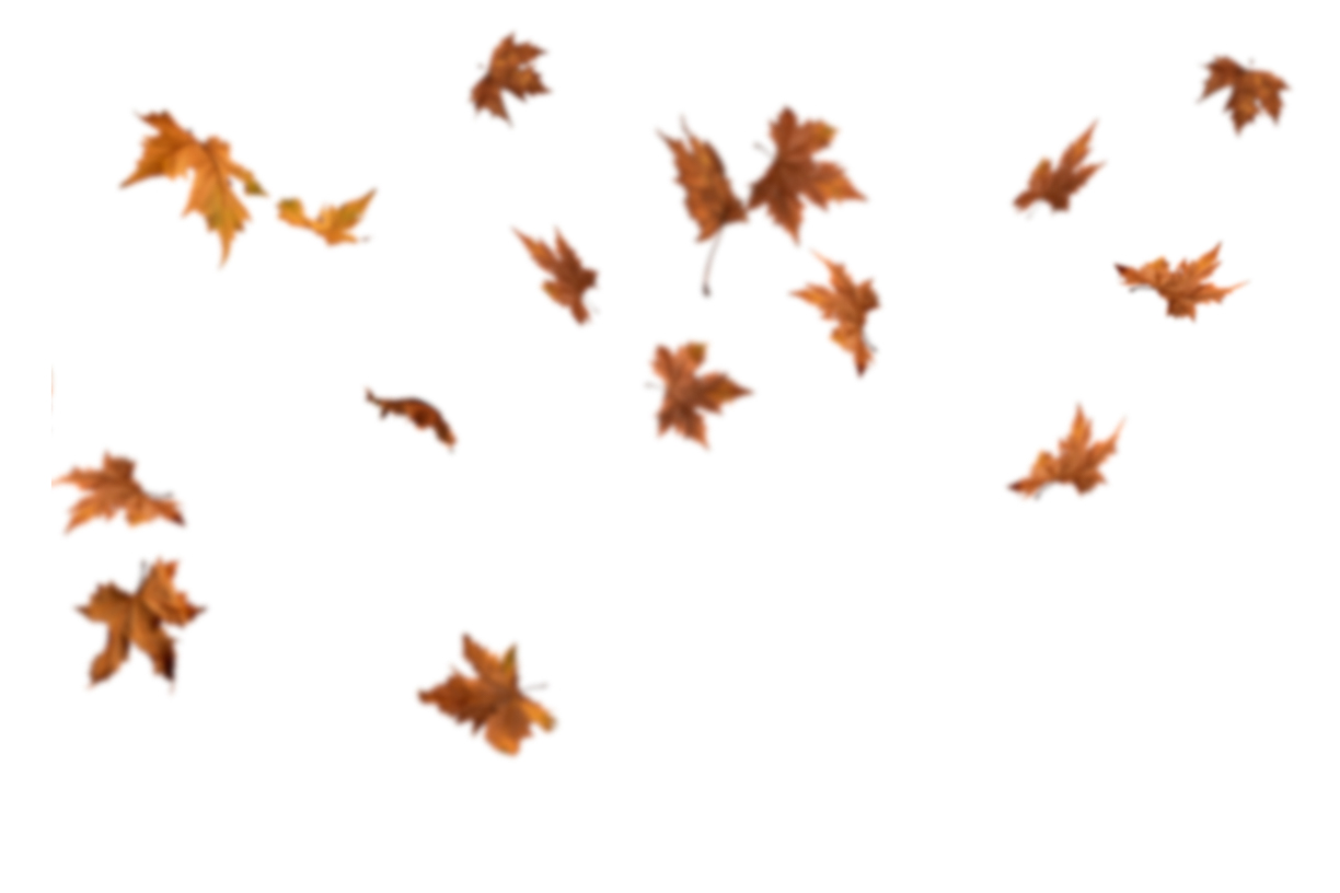 Autumn Leaves Magic(117)