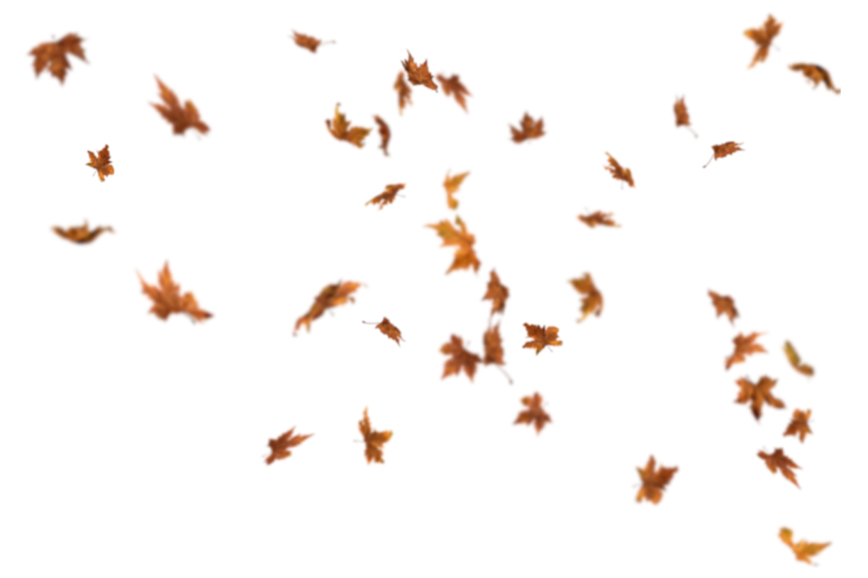 Autumn Leaves Magic(116)