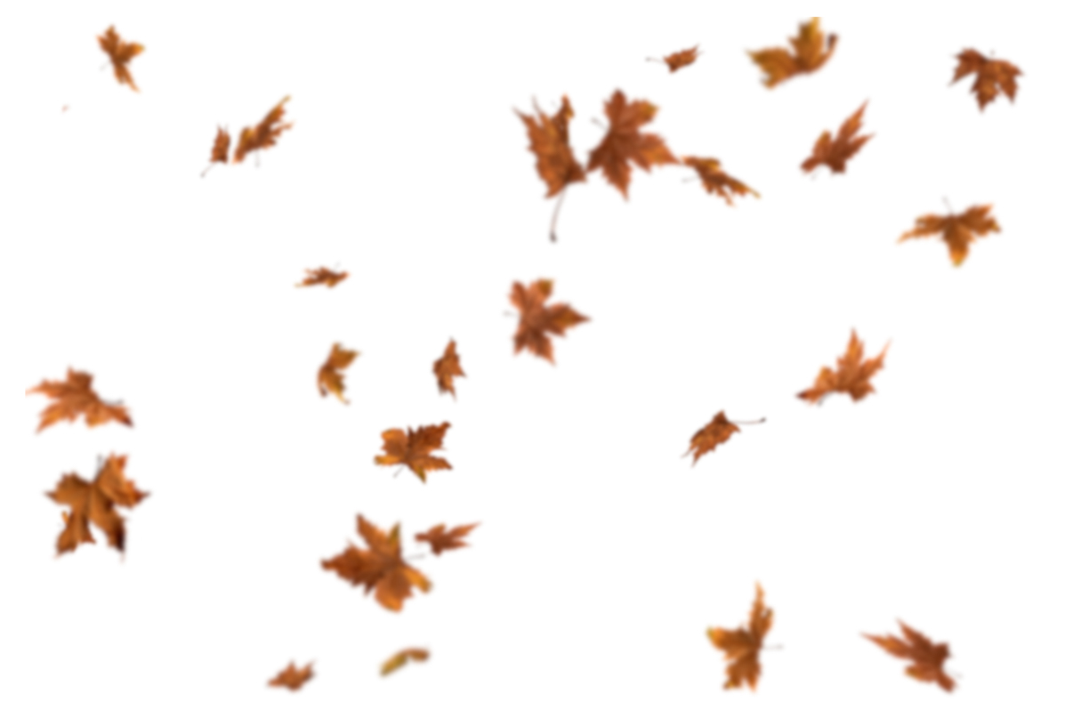 Autumn Leaves Magic(118)