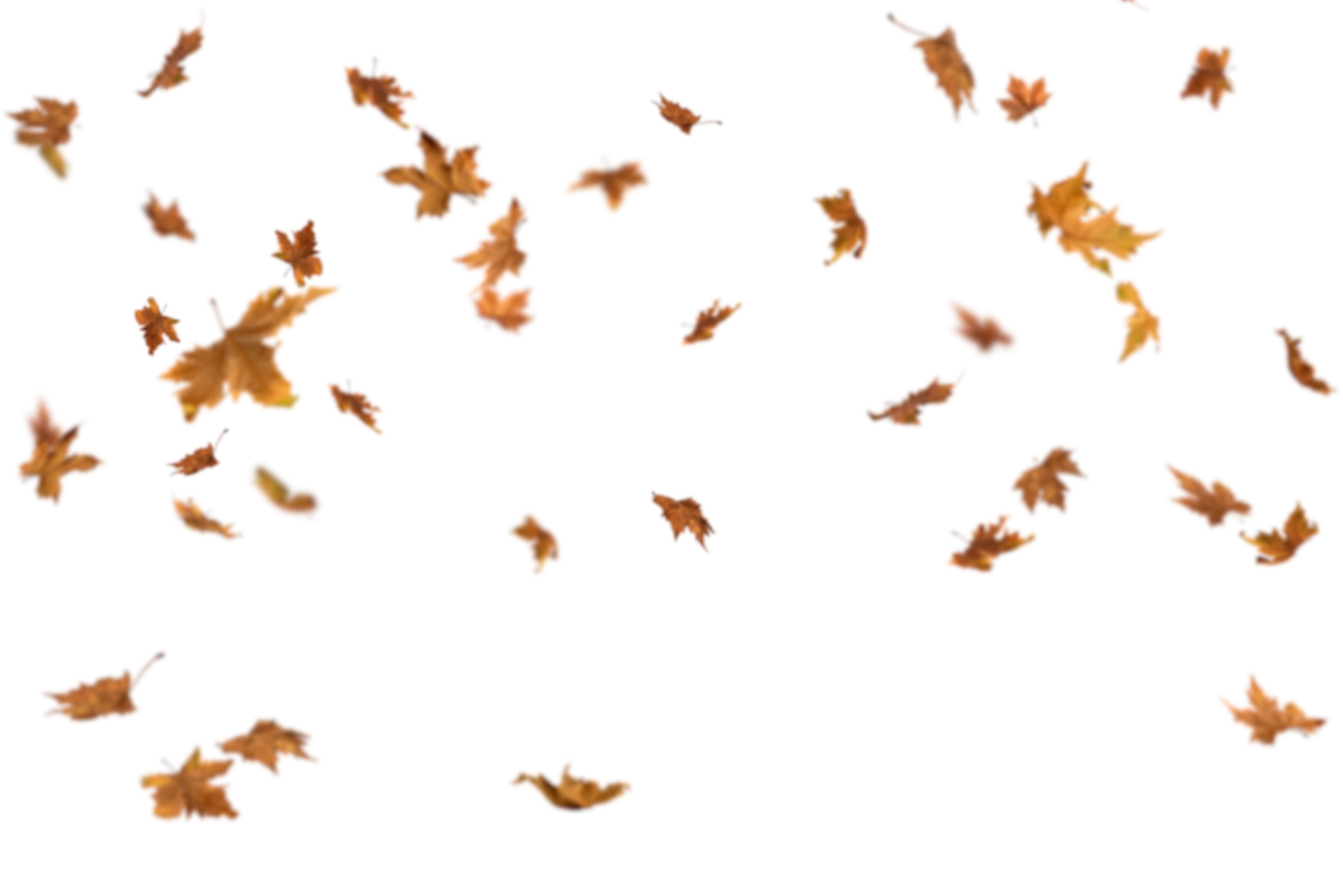 Autumn Leaves Magic(119)