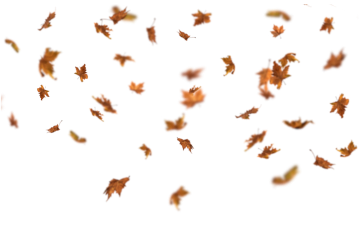 Autumn Leaves Magic(120)