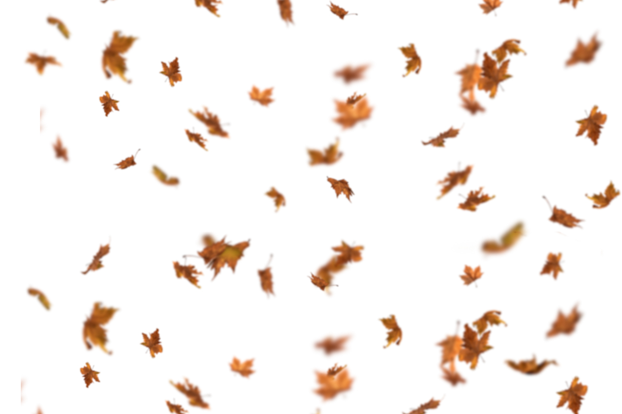 Autumn Leaves Magic(121)