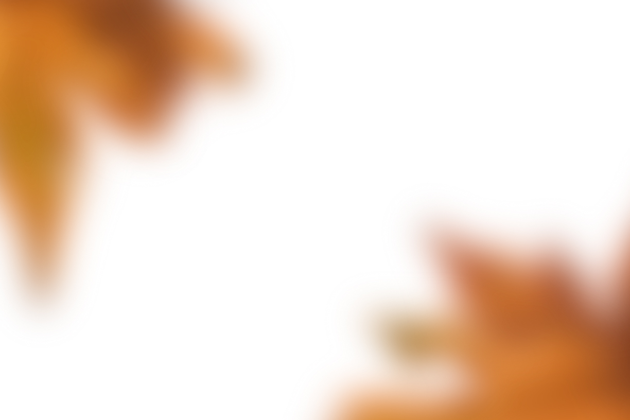 Autumn Leaves Magic(122)