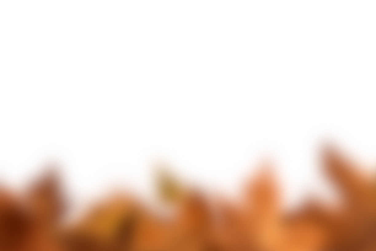 Autumn Leaves Magic(124)