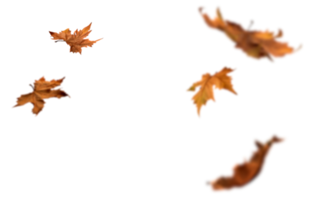 Autumn Leaves Magic(126)