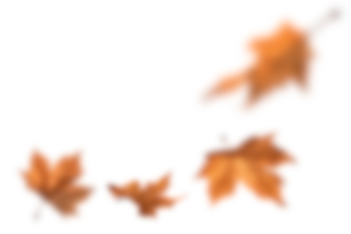 Autumn Leaves Magic(127)