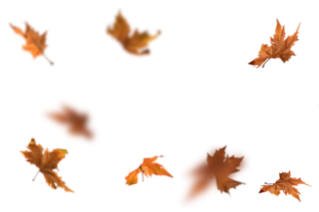 Autumn Leaves Magic(129)