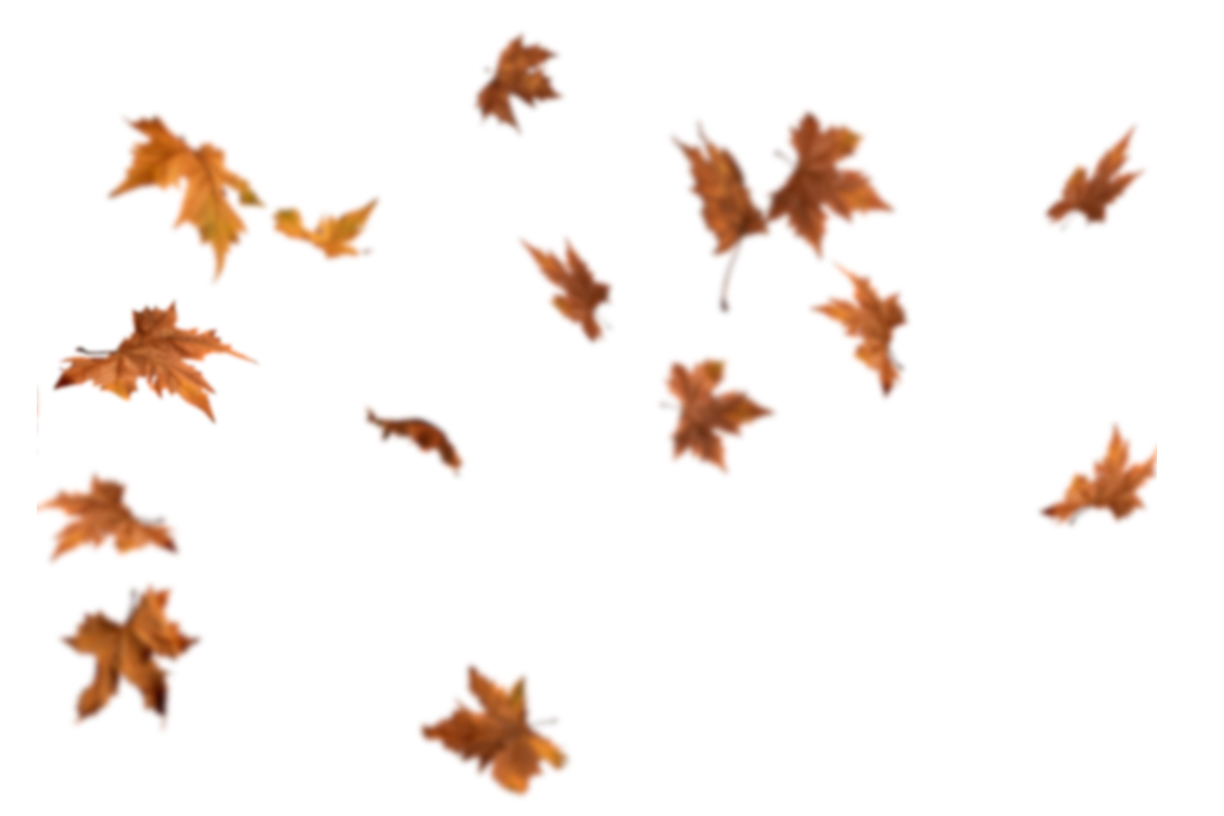 Autumn Leaves Magic(128)