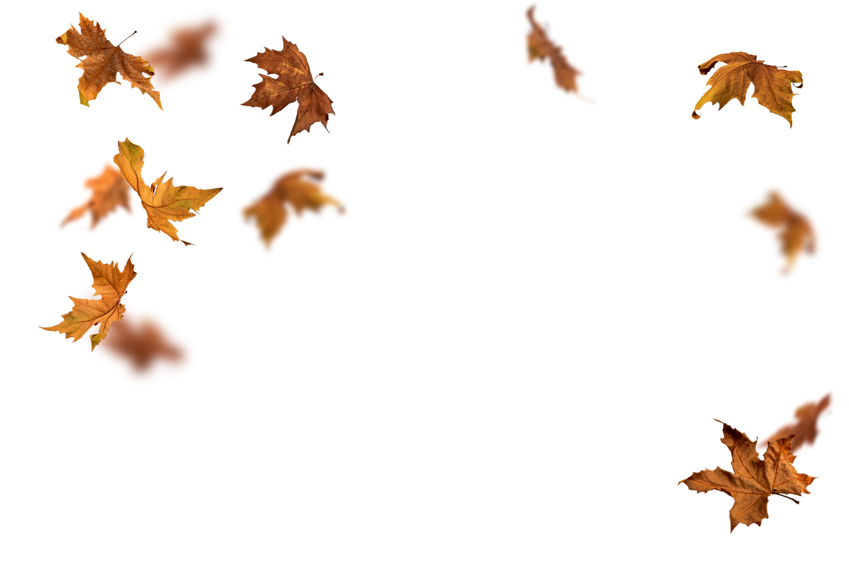 Autumn Leaves Magic(136)