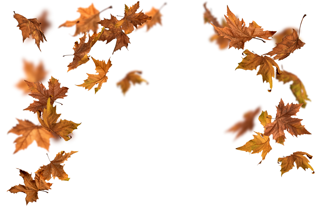 Autumn Leaves Magic(137)