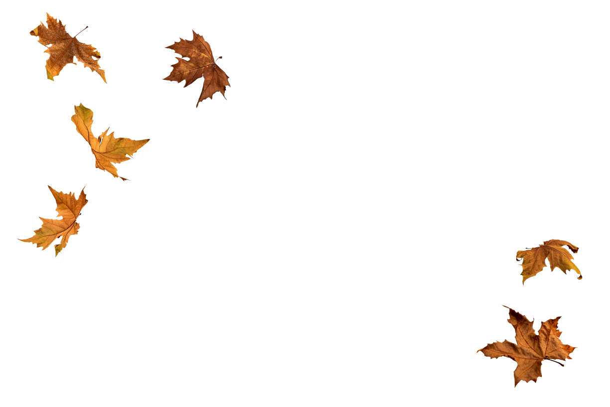 Autumn Leaves Magic(148)