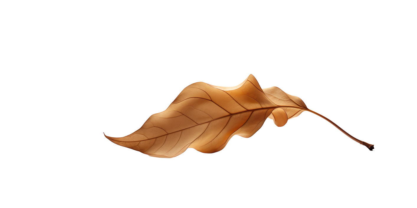 Autumn Leaves Magic(158)