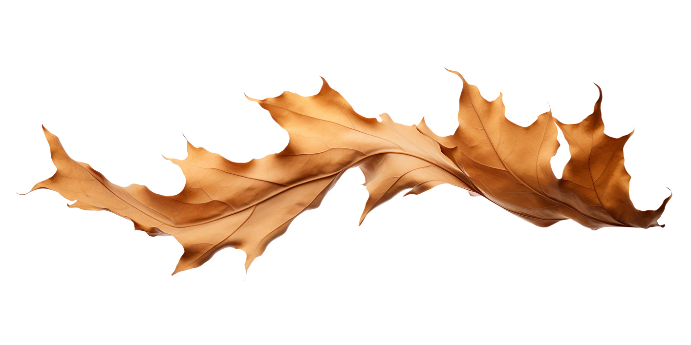 Autumn Leaves Magic(172)