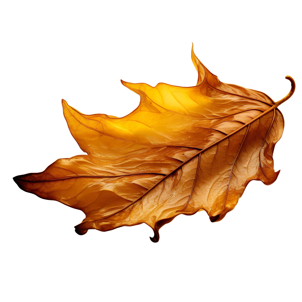 Autumn Leaves Magic(181)