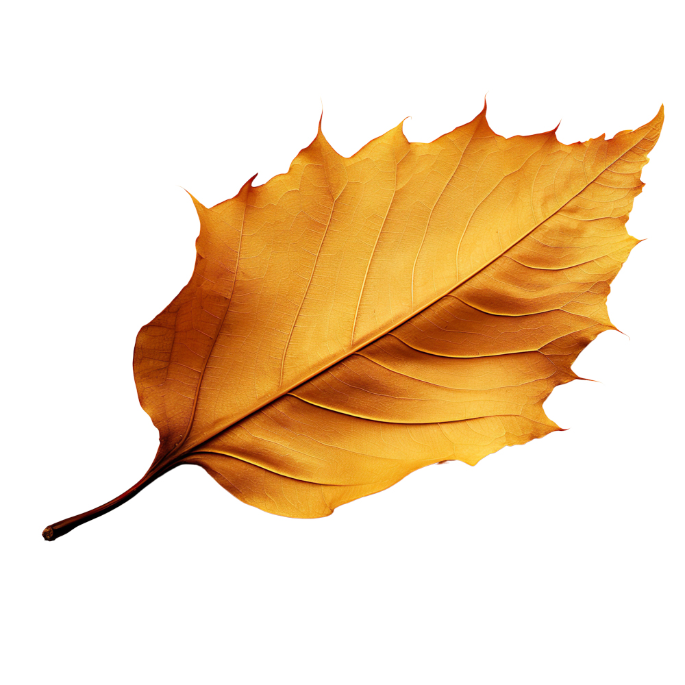 Autumn Leaves Magic(192)