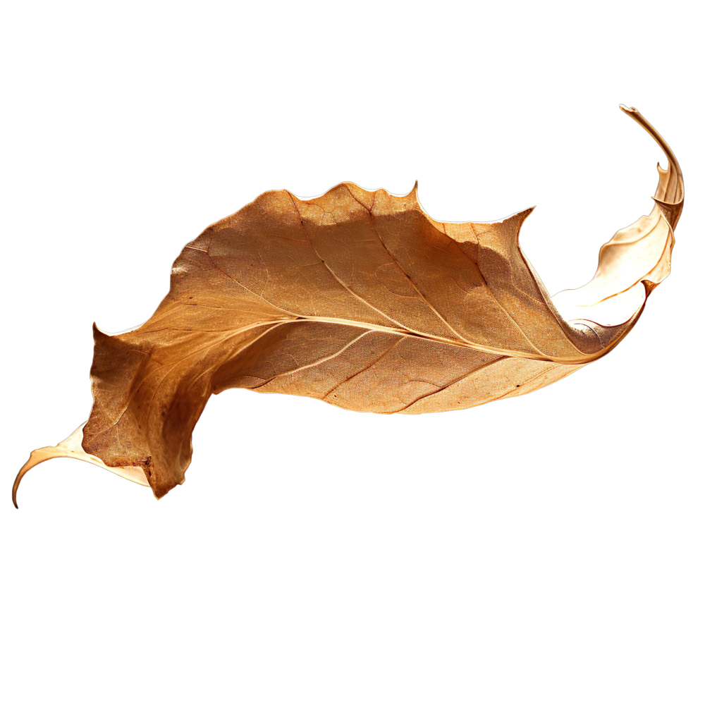 Autumn Leaves Magic(195)