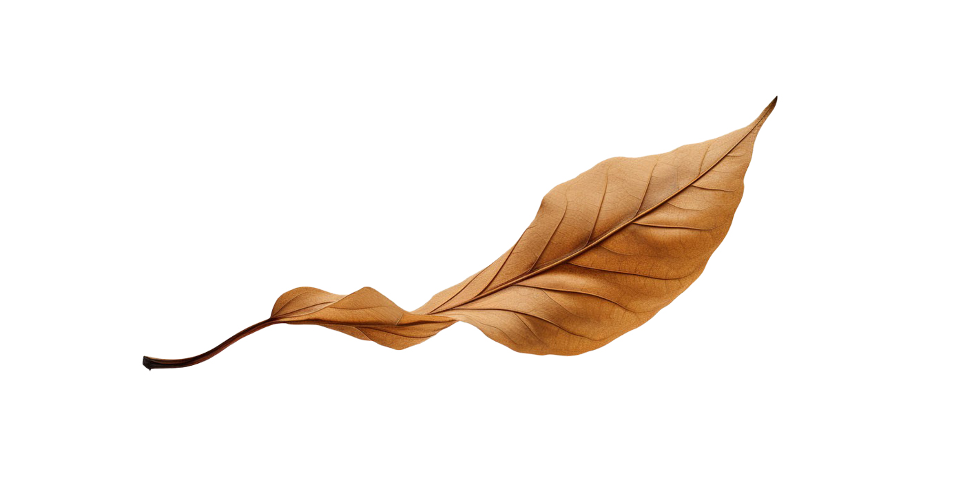 Autumn Leaves Magic(197)