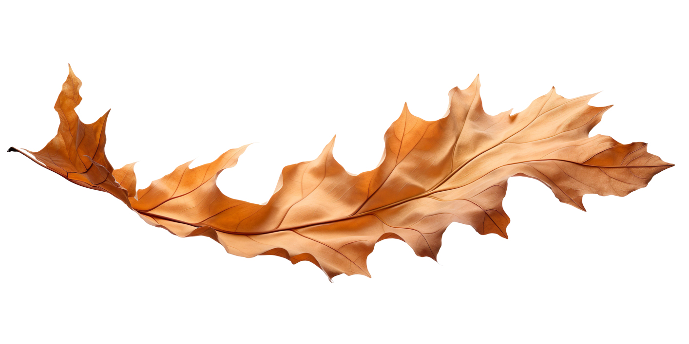 Autumn Leaves Magic(199)