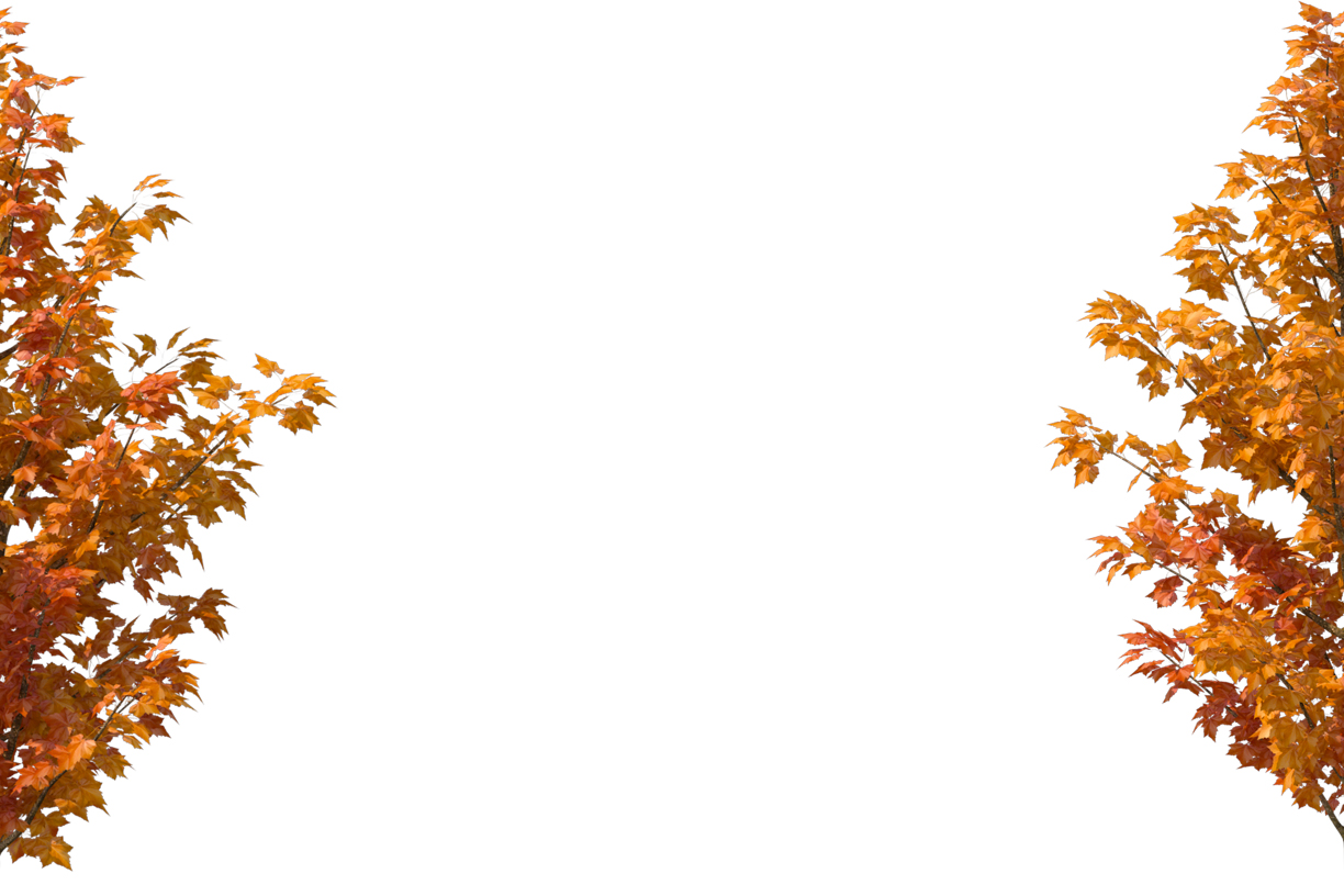 Autumn Leaves Magic(204)