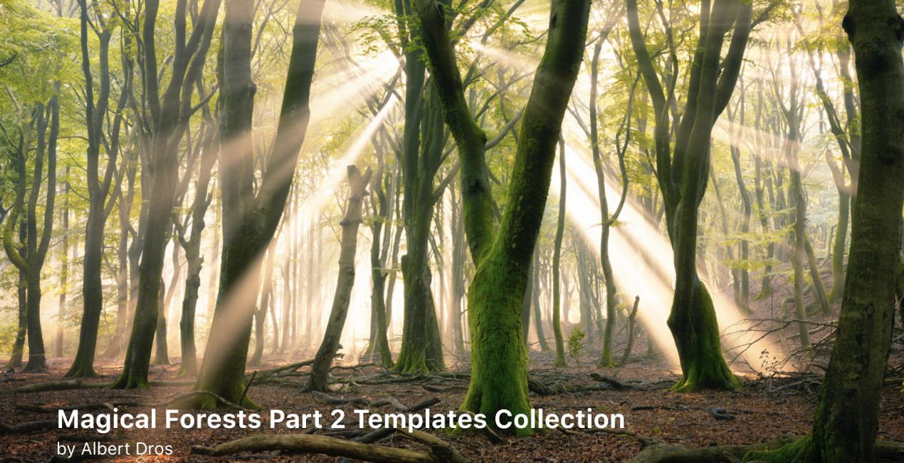 Complete Magical Forests Bundle is a photo enhancement asset for Luminar(44)
